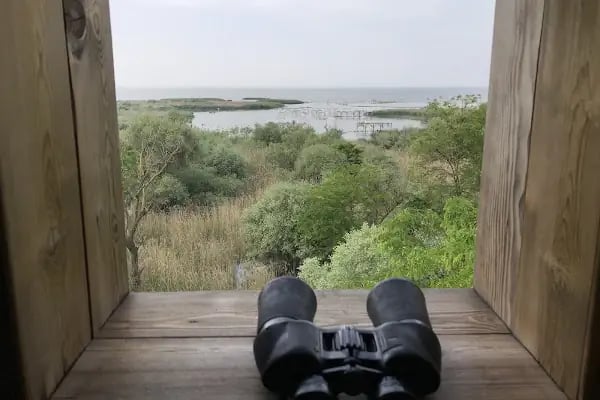 Kuşcenneti Milli Parkı - Resim 17