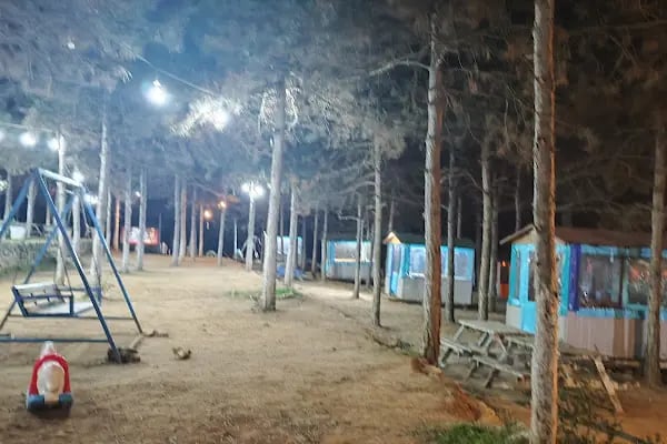 Dağ Evi Mangal Semaver - Resim 5