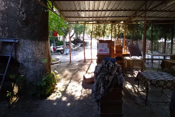 KUTLU cay bahcesi - Resim 16
