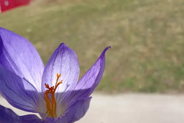 Medikal Park Hastanesi İzmit - Resim 12