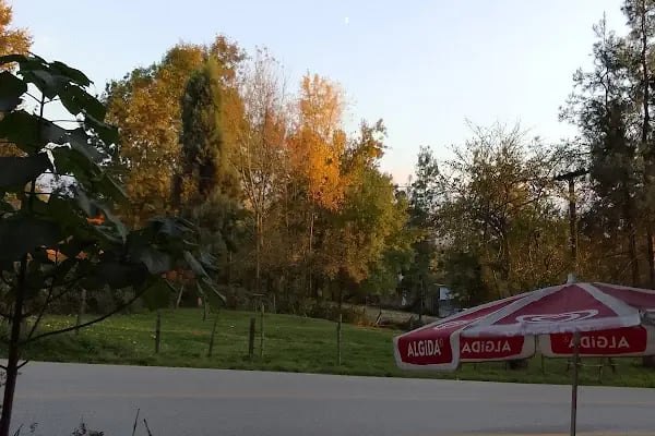 Medikal Park Hastanesi İzmit - Resim 6