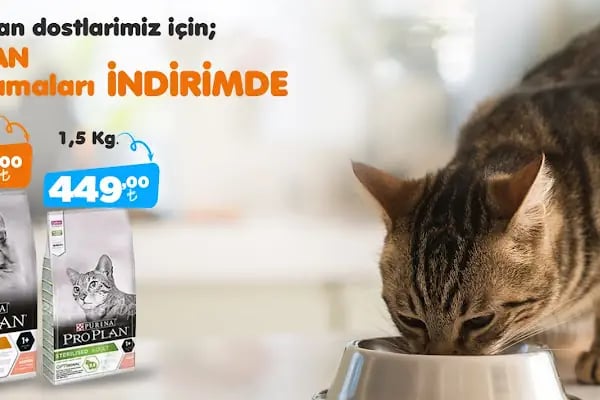 Alo Mama Denizli - Kedi Köpek Maması - Resim 4
