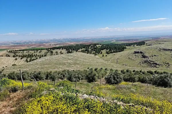 Göbeklitepe At Çiftliği - Resim 7