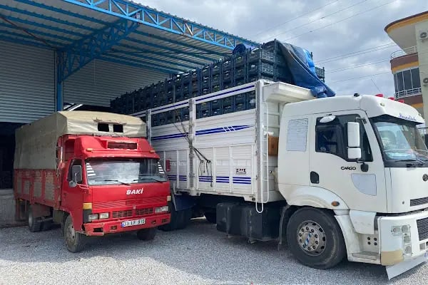 Baki Tarım Ürünleri - Resim 13
