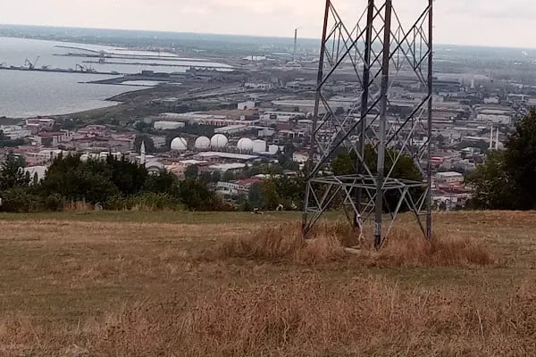 Bayraktepe Tabiat Parkı - Resim 17