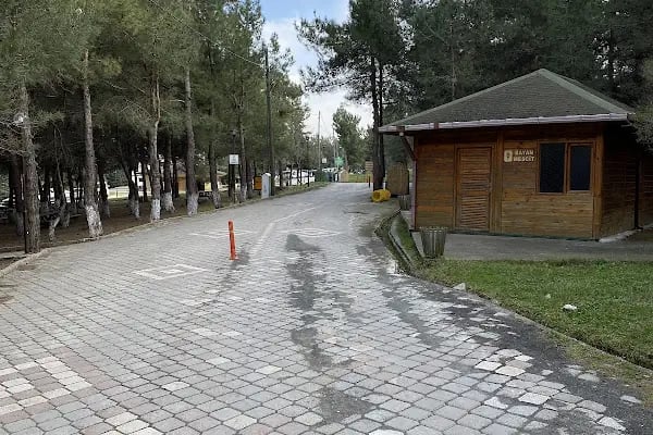 Bayraktepe Tabiat Parkı - Resim 14