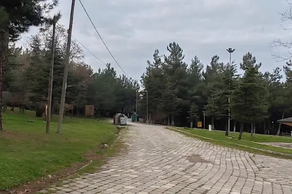 Bayraktepe Tabiat Parkı - Resim 16