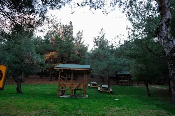 Bayraktepe Tabiat Parkı - Resim 12