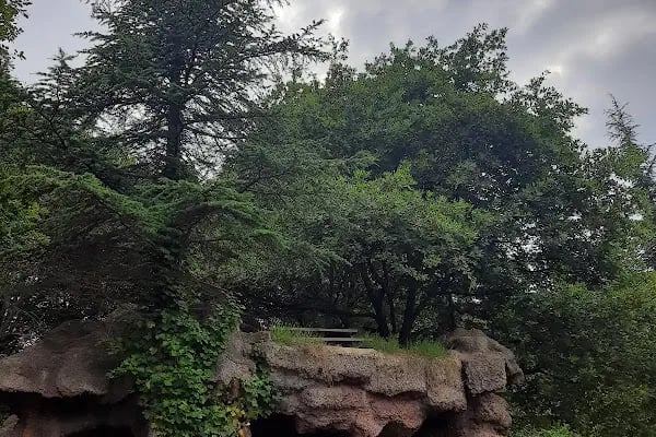 Bayraktepe Tabiat Parkı - Resim 18