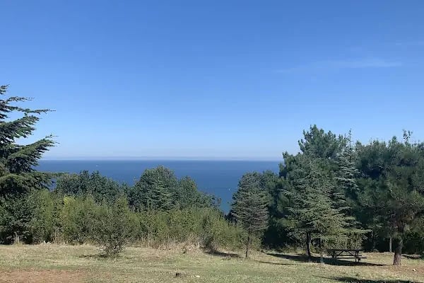 Bayraktepe Tabiat Parkı - Resim 3