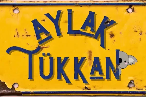Aylak Tükkan - Resim 9