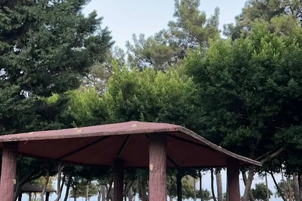 Rauf DENKTAŞ Parkı - Resim 2