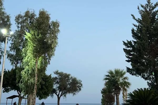 Rauf DENKTAŞ Parkı - Resim 13