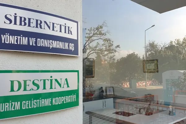 SİBERNETİK YÖNETİM - Resim 2