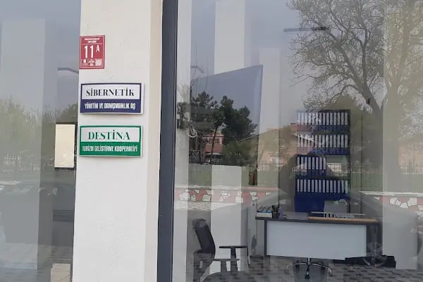 SİBERNETİK YÖNETİM - Resim 5