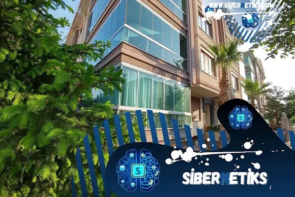 SİBERNETİK YÖNETİM - Resim 3