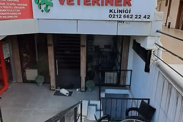 Florya Doğa Veteriner Polikliniği - Resim 18