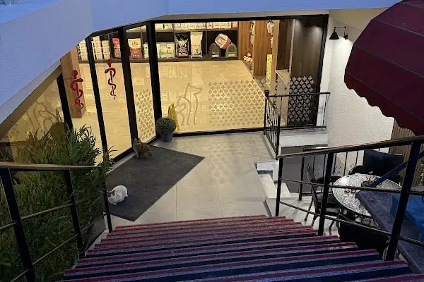 Florya Doğa Veteriner Polikliniği - Resim 12