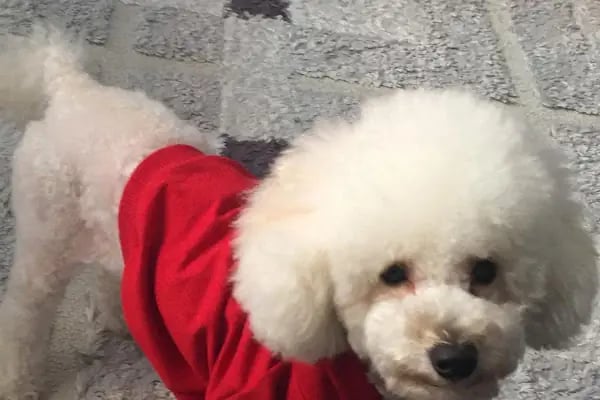 Florya Doğa Veteriner Polikliniği - Resim 15