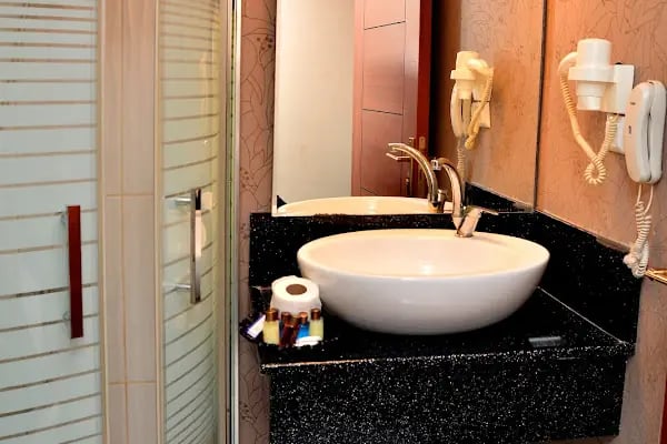 Business Grand Hotel - Resim 3