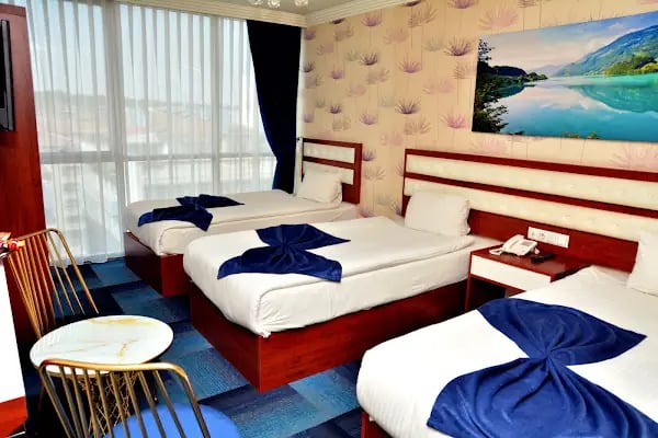Business Grand Hotel - Resim 20