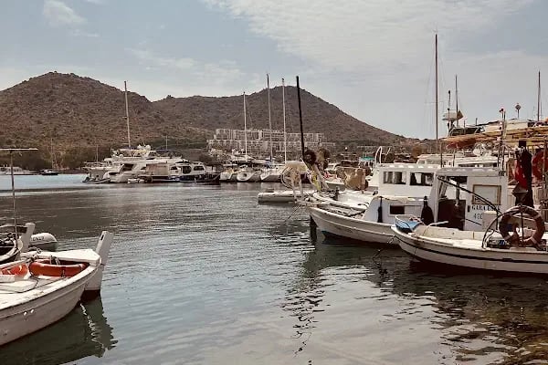 Gül Kıraathanesi - Resim 3