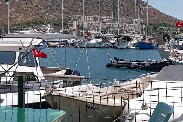Gül Kıraathanesi - Resim 2