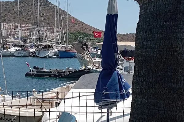 Gül Kıraathanesi - Resim 8