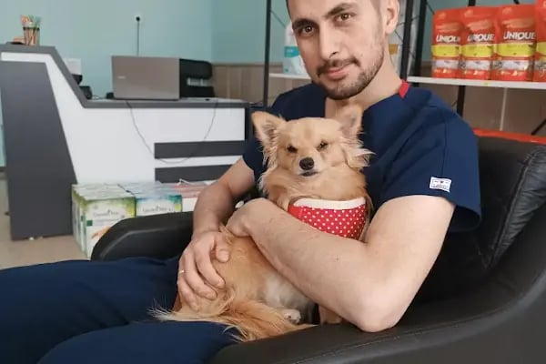 Ankacity Veteriner Kliniği - Resim 19