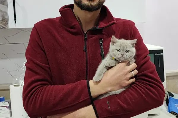 Ankacity Veteriner Kliniği - Resim 17