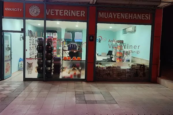 Ankacity Veteriner Kliniği - Resim 11