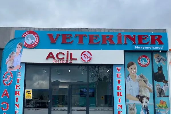 Esenyurt WORLD VETERİNER KLİNİĞİ - Resim 1