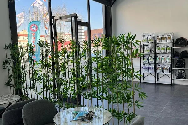 Esenyurt WORLD VETERİNER KLİNİĞİ - Resim 2