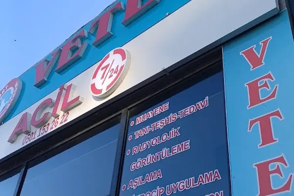 Esenyurt WORLD VETERİNER KLİNİĞİ - Resim 17