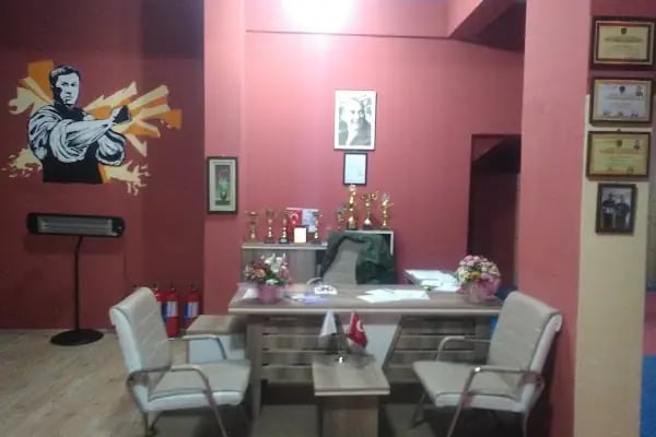 PARS KARATE SPOR KULÜBÜ - Resim 4