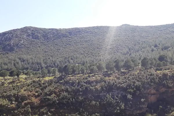 Servergazi Parkı - Resim 19