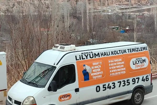 3 En Halı, Koltuk, Perde Yıkama ve Kuru Temizleme - Resim 19