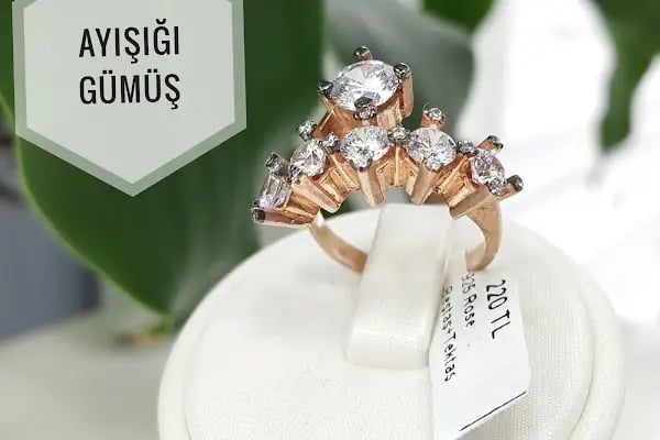 Ayışığı GÜMÜŞ - Resim 9