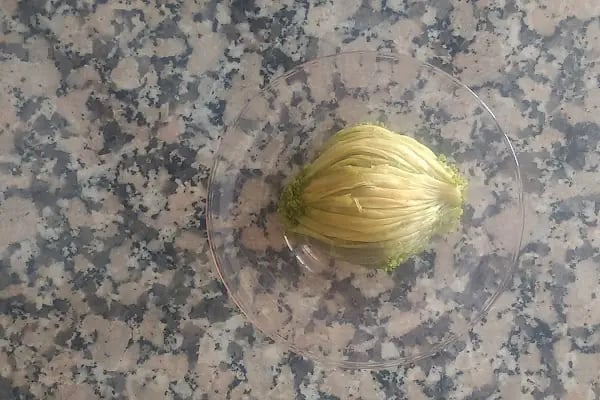 BİRBİLEN Gaziantep Baklava tatlı Kadayıf - Resim 8