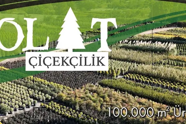 POLAT ÇİÇEKÇİLİK KADİR İRDEM - Resim 2