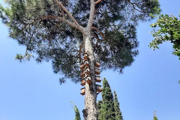 Balıkesir Şehitliği - Resim 19