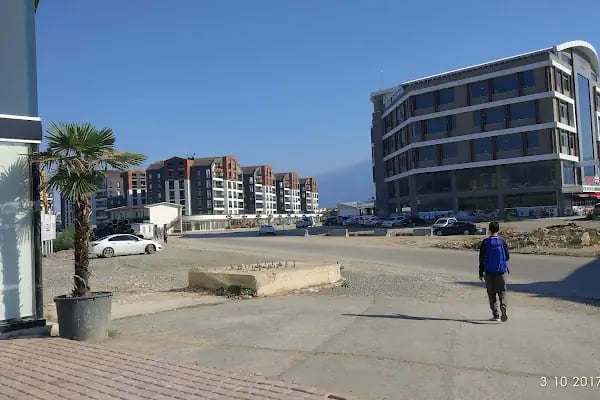 Alpiş Aden House - Resim 10
