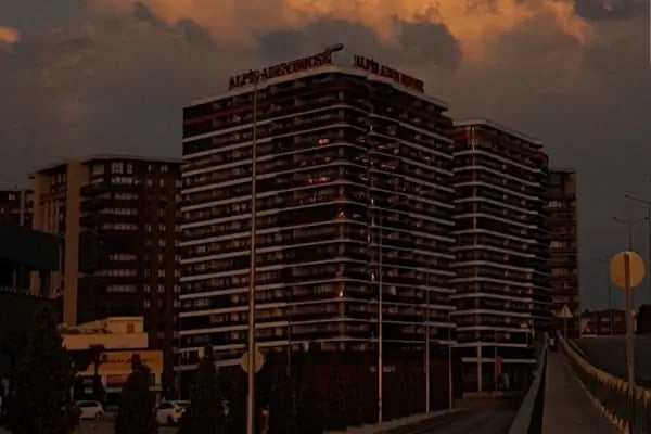 Alpiş Aden House - Resim 9