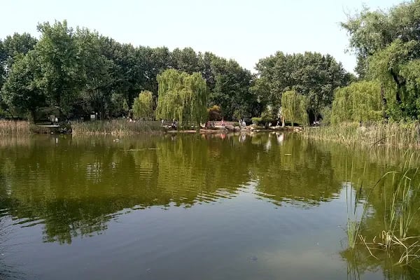 Masal Düğün Salonu - Resim 18