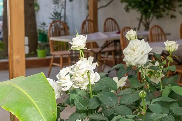 ORİON HOTEL - Resim 19