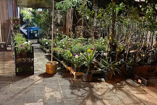 My Garden Çiçek Dünyası - Resim 2