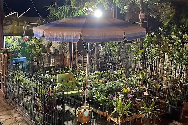 My Garden Çiçek Dünyası - Resim 6