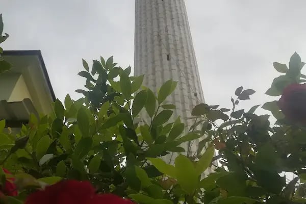 Mehmet Azizoğlu Çamlık Cami - Resim 20