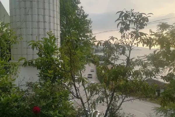 Mehmet Azizoğlu Çamlık Cami - Resim 9
