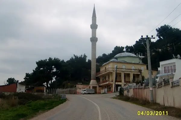 Mehmet Azizoğlu Çamlık Cami - Resim 12